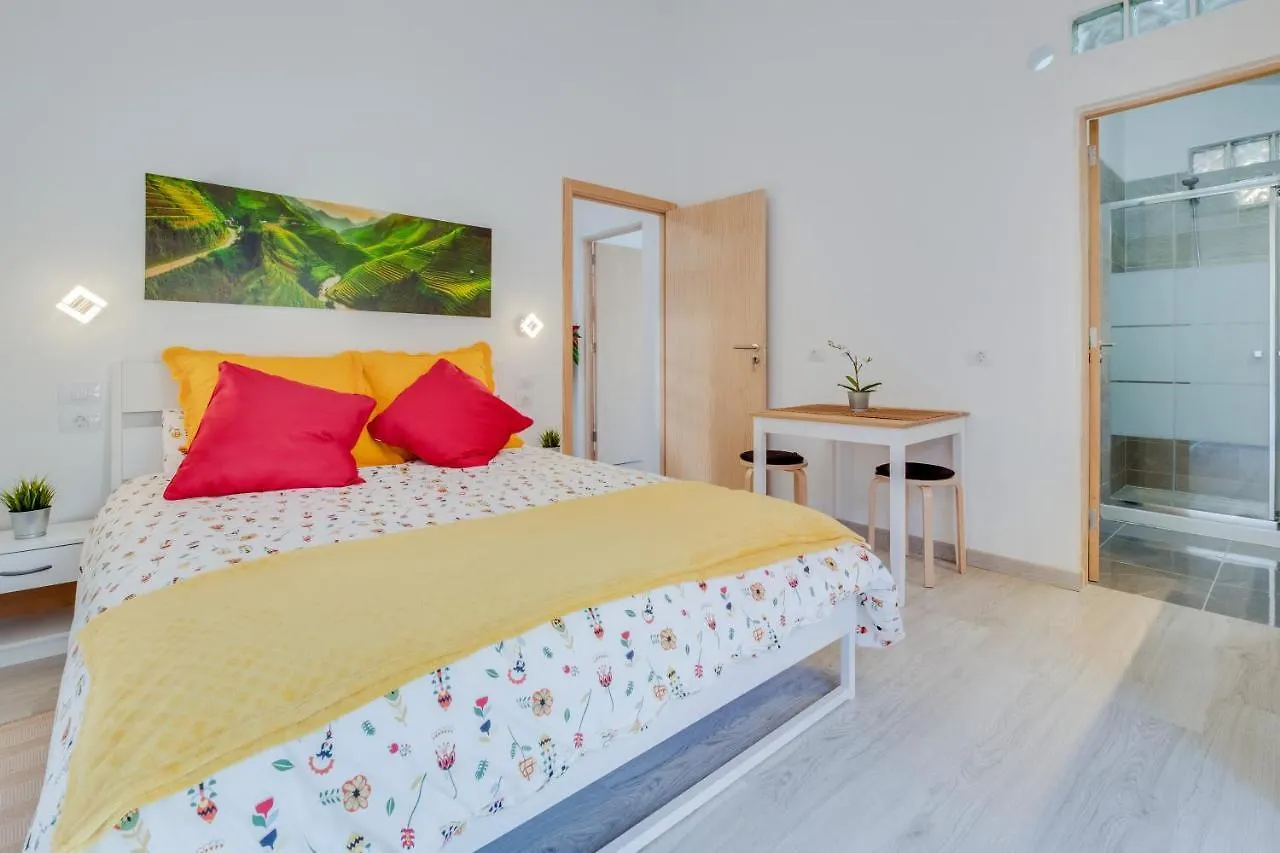Apartment Estudio Tajinaste Arona  Spain