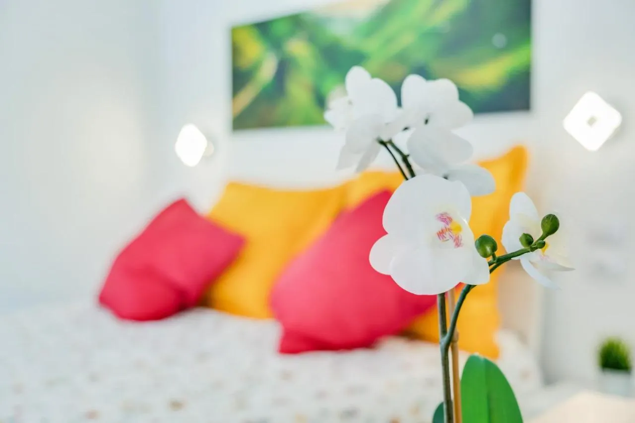 Estudio Tajinaste Arona  0*, Arona (Tenerife)